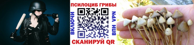 магазин продажи наркотиков  Берёзовка  Галлюциногенные грибы MAGIC MUSHROOMS 