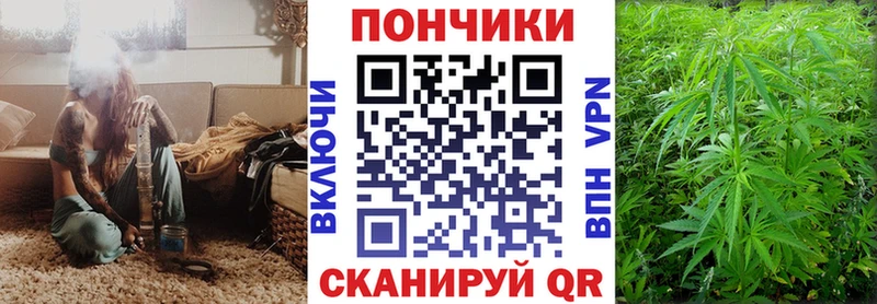 купить наркотики цена  Берёзовка  Каннабис тримм 